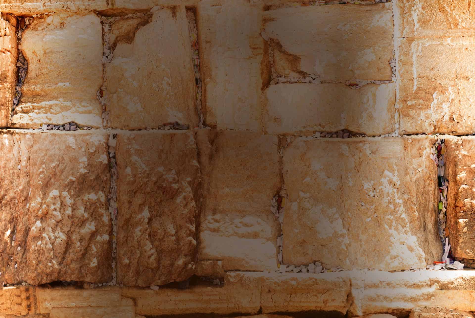 מעגל מתופפים אור מאיר